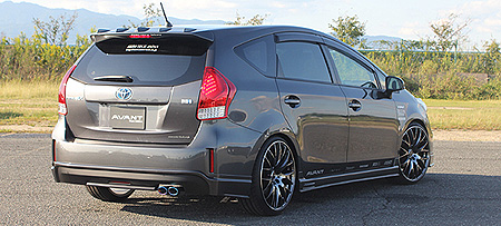 ZVW40.41 PRIUS